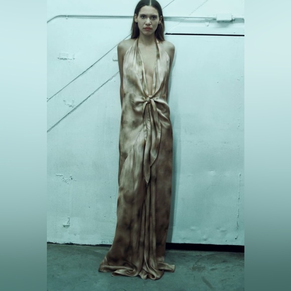 ZARA LIMITED EDITION DRESS - Picture 6 of 11